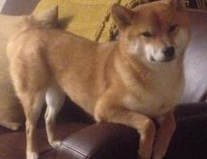 开云体育中国-亚特兰大风暴，拉文爆发领衔，老鹰连续得分狂潮压制开拓者逆流